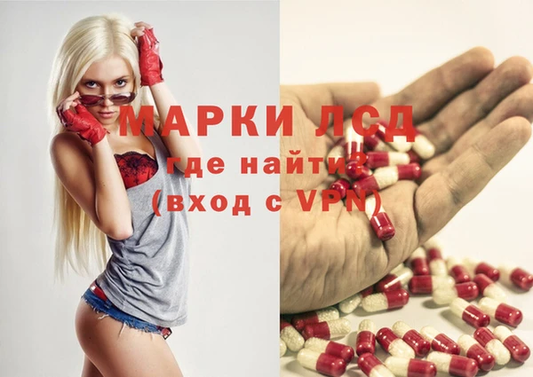 СК Магас