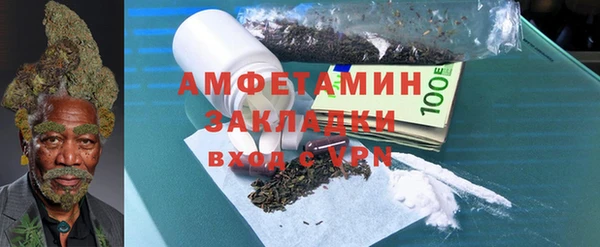 2c-b Инсар