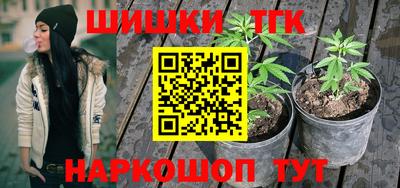 индика Кулебаки