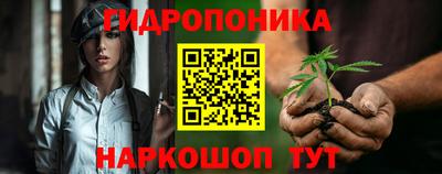 индика Кулебаки