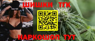индика Кулебаки