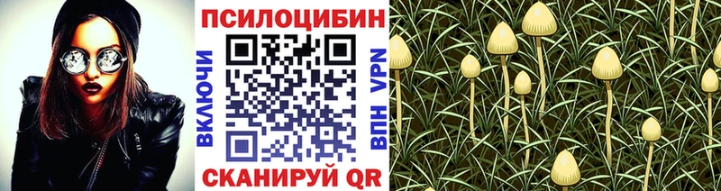 Псилоцибиновые грибы Magic Shrooms  Отрадный 