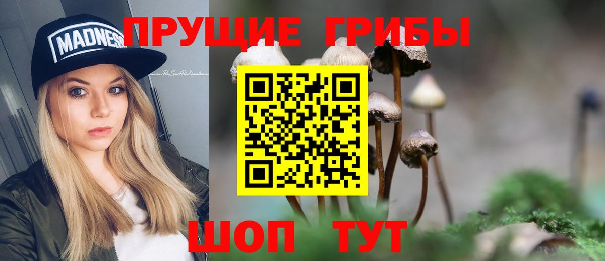 Галлюциногенные грибы Psilocybine cubensis Отрадный