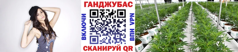 цены   Отрадный  Шишки марихуана конопля 